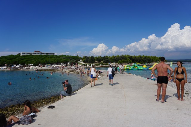 01813F1D-5950-4E84-B9E4-555BDD4C549A